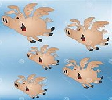 Accuracy assessment of KHQ Lawyers statements